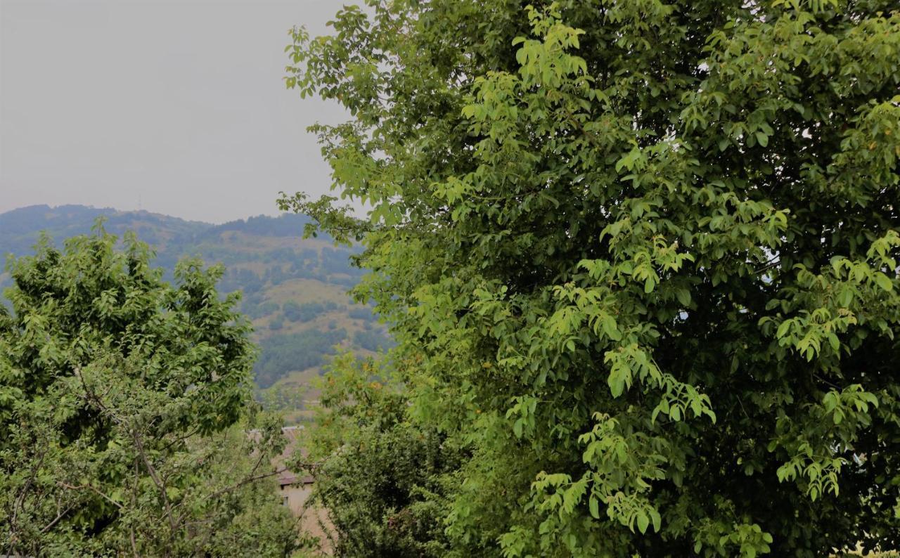 Dilijan Family House Villa Exterior foto