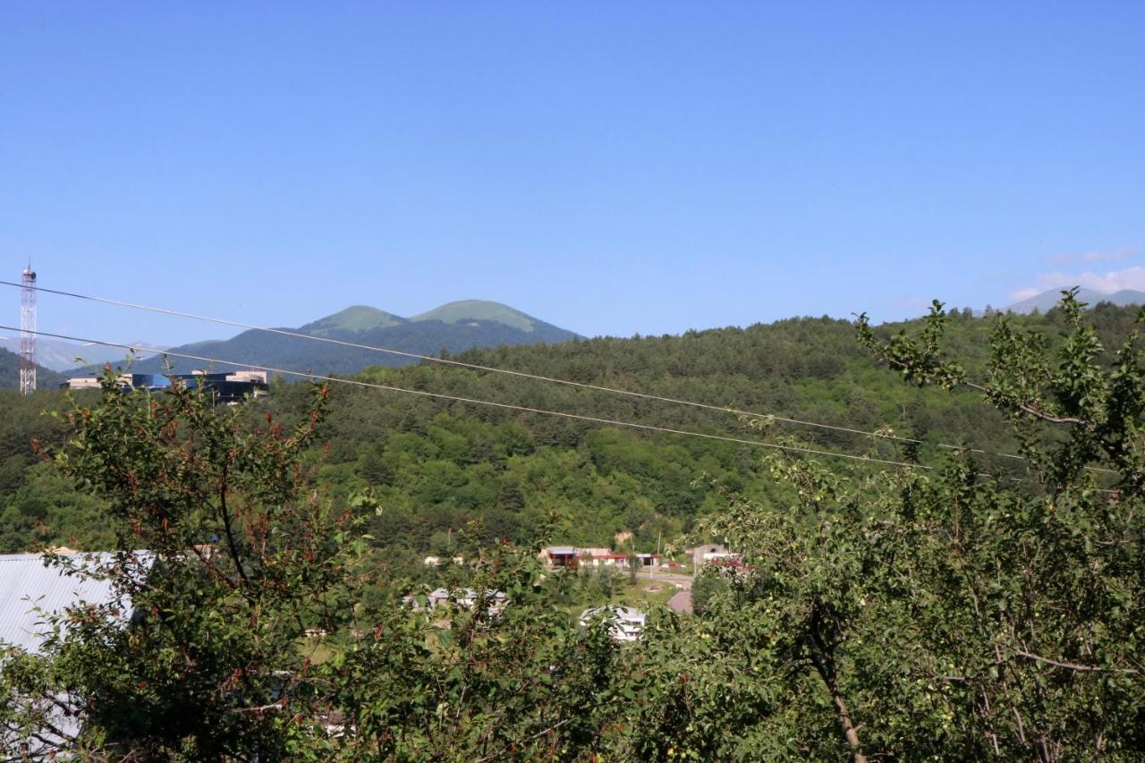 Dilijan Family House Villa Exterior foto